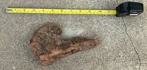 Ohio River Driftwood 7"x4"x2.5"